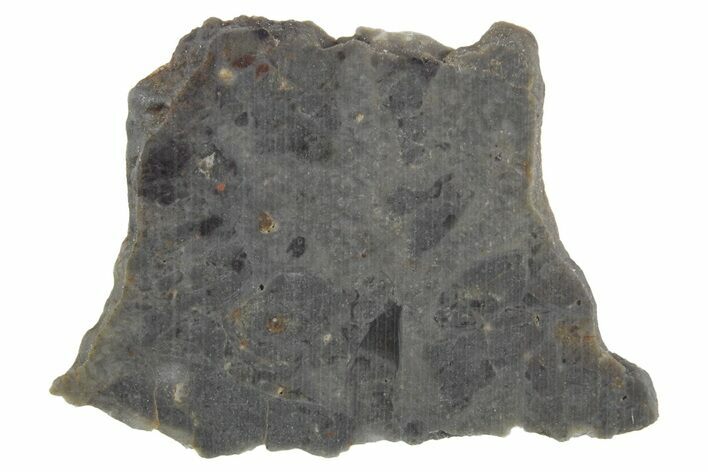 Lunar Meteorite Slice ( g) - NWA #360350